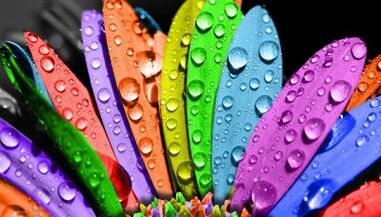 How to lose weight on the 6 petal diet