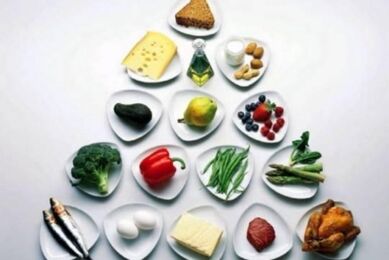 The pyramid of nutrition