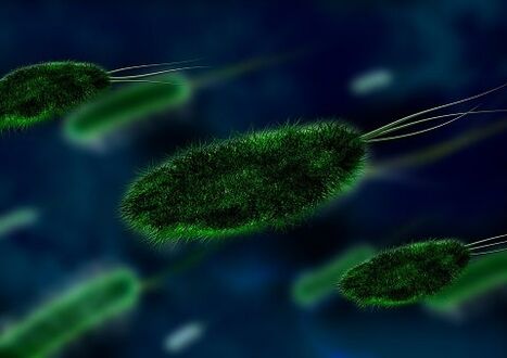 the cause of gastritis is a bacterium - Helicobacter
